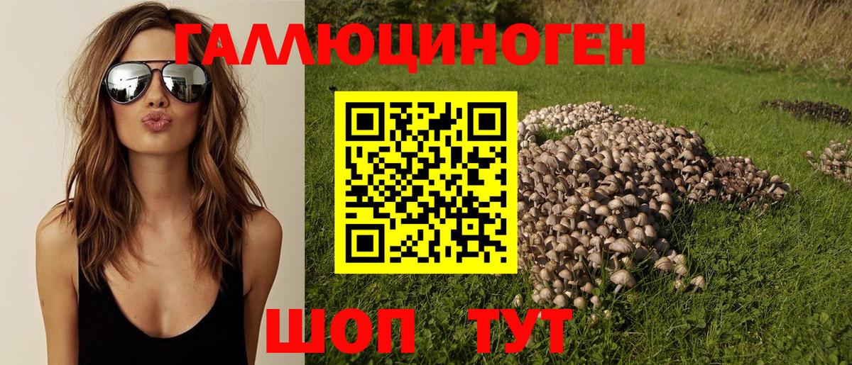 Псилоцибиновые грибы Psilocybe Мичуринск
